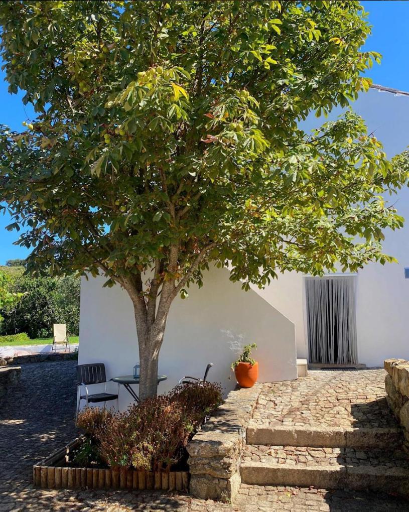 Quinta D'Abegoa Villa Marvão Exteriör bild